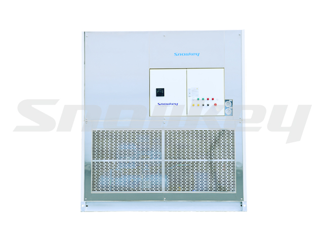 板冰機(jī) (5噸/天)